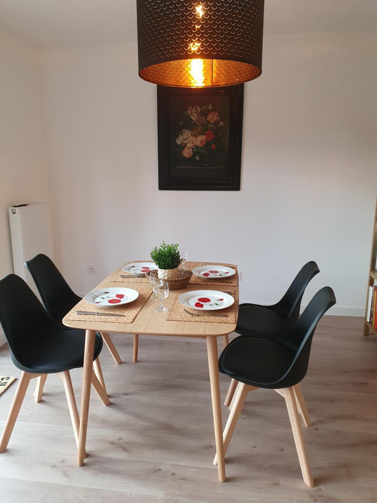 Lille Grand Palais, Europe, Bienvenue Chez Nestyou, Lille Zewnętrze zdjęcie