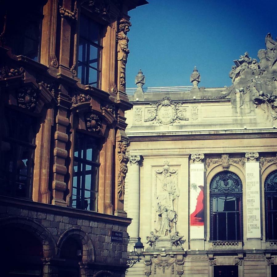 Lille Grand Palais, Europe, Bienvenue Chez Nestyou, Lille Zewnętrze zdjęcie